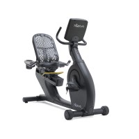 دوچرخه ثابت نشسته باشگاهی اینتنزا مدل 450i2S